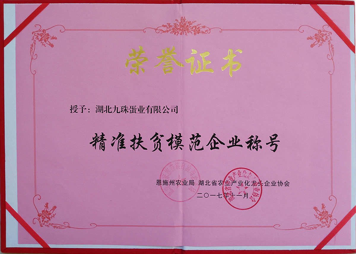2017年精準扶貧模范企業