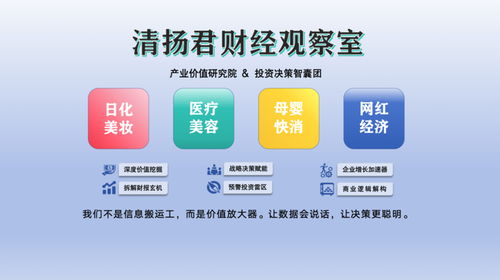 丸美生物赴港上市 化妝品巨頭的新征程與軟件開發角色的再審視